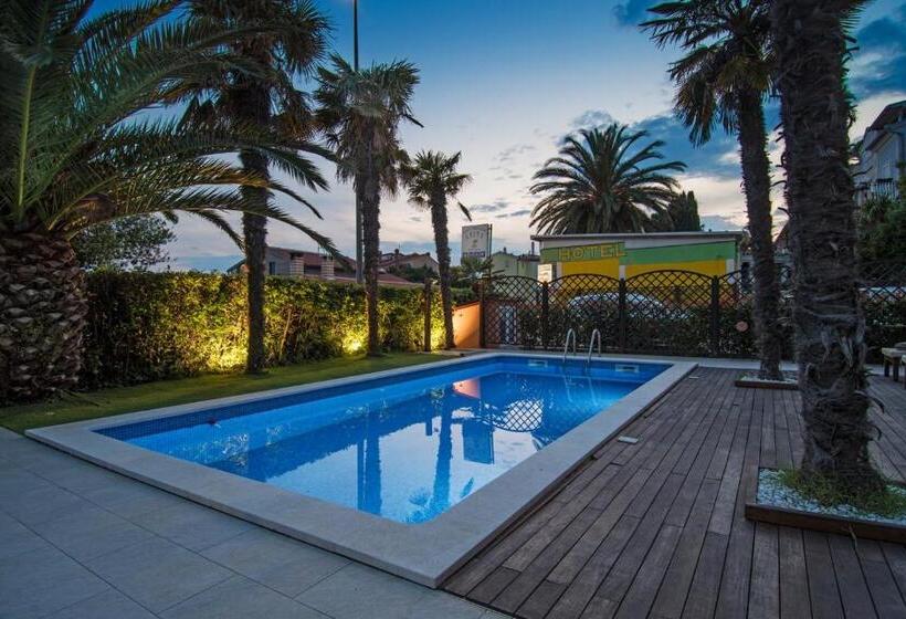 تختخواب و صبحانه Breakfast & Bed Anita