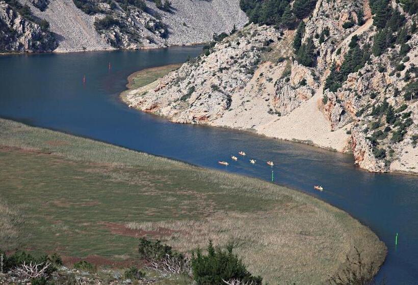 בית מלון כפרי Rajna