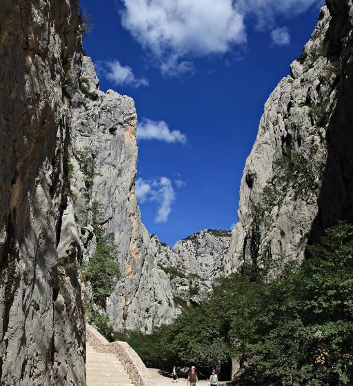 בית מלון כפרי Rajna