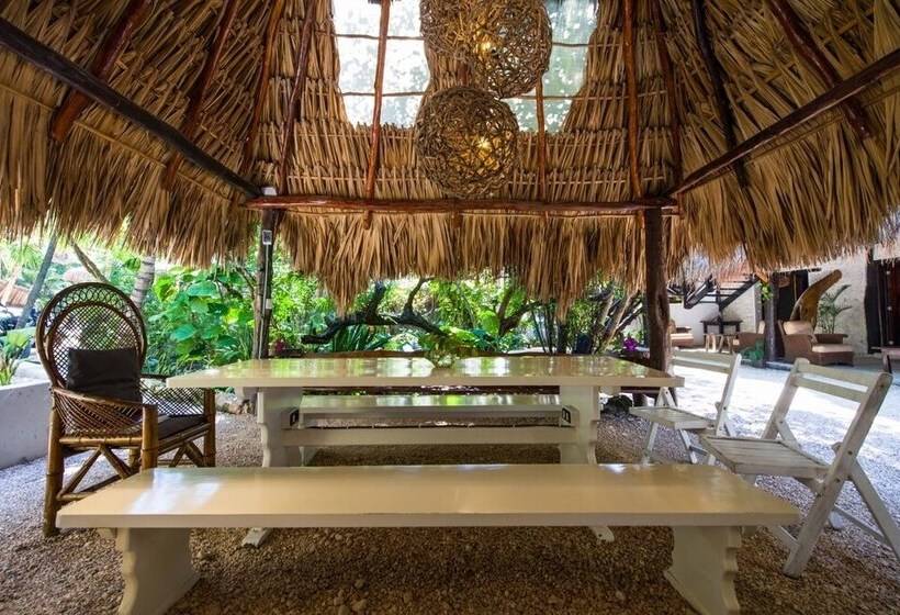 Hotel Yoga Shala   Adults Only