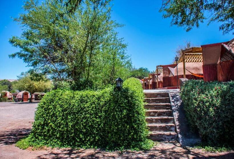 הוסטל San Pedro Domos