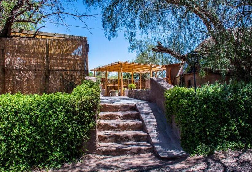 הוסטל San Pedro Domos