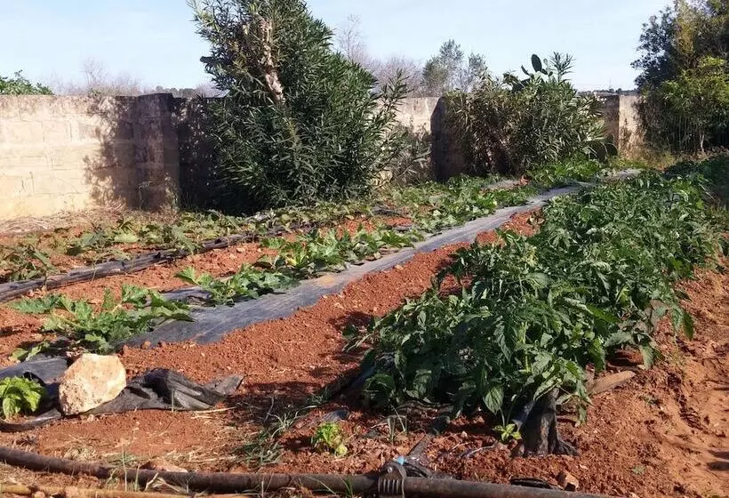 Hotelli Agriturismo Il Trappeto