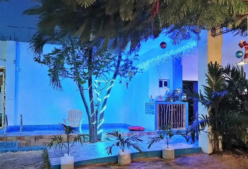 فندق Blue Coconut Cancun