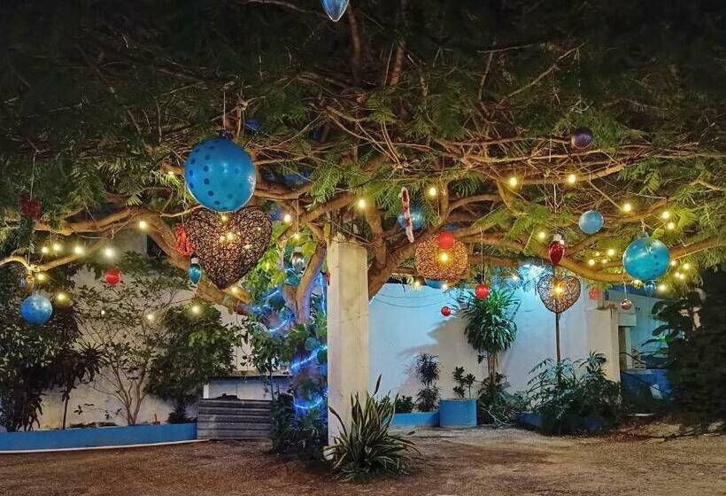 فندق Blue Coconut Cancun