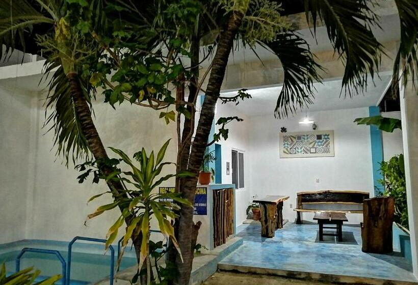 فندق Blue Coconut Cancun