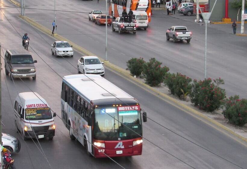 فندق Blue Coconut Cancun