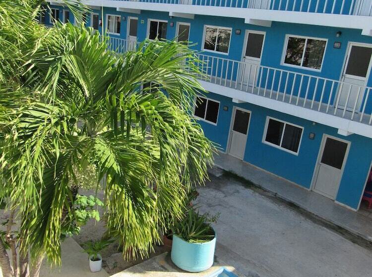 فندق Blue Coconut Cancun