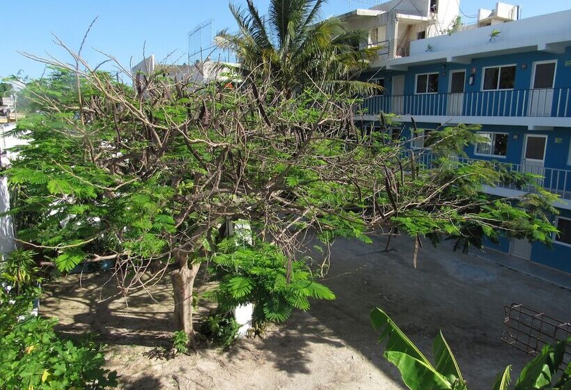 فندق Blue Coconut Cancun