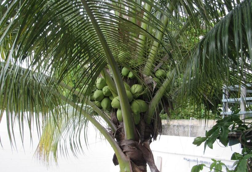 فندق Blue Coconut Cancun