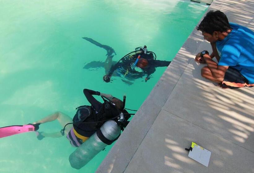 בית מלון כפרי The Rascals Kite Resort