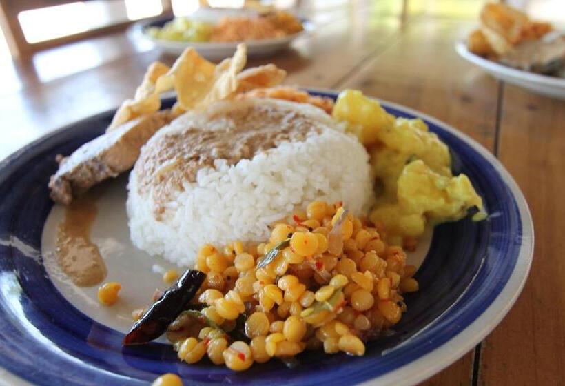 בית מלון כפרי The Rascals Kite Resort