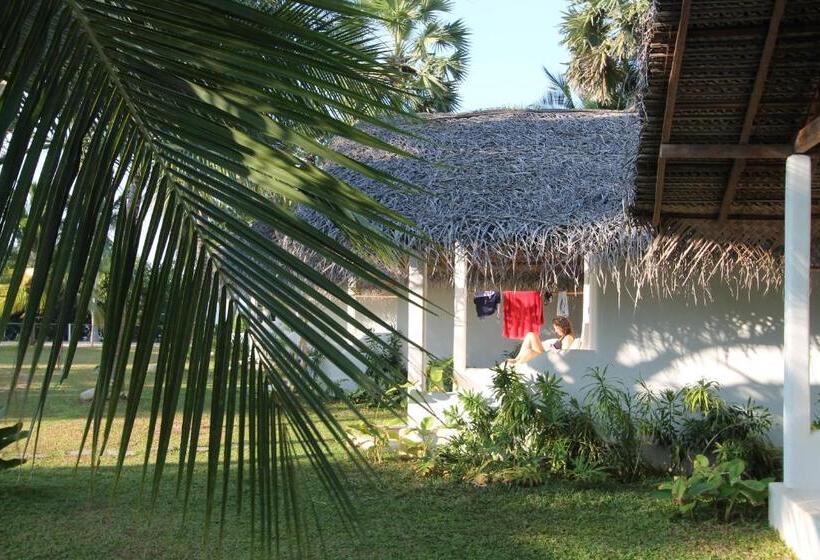 בית מלון כפרי The Rascals Kite Resort