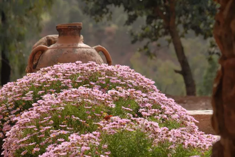 Majatalo Chez Momo Ii