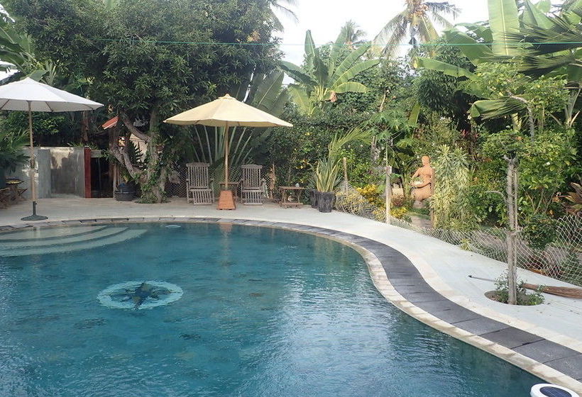 بنسيون Hibiscus House Pemuteran Bali