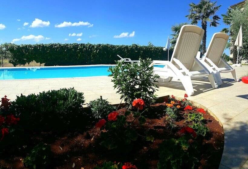 پانسیون Rooms Margerita