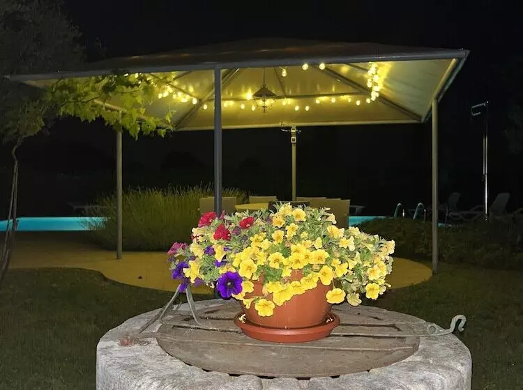 پانسیون Rooms Margerita
