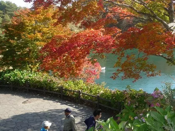 Pension Hana Kirin
