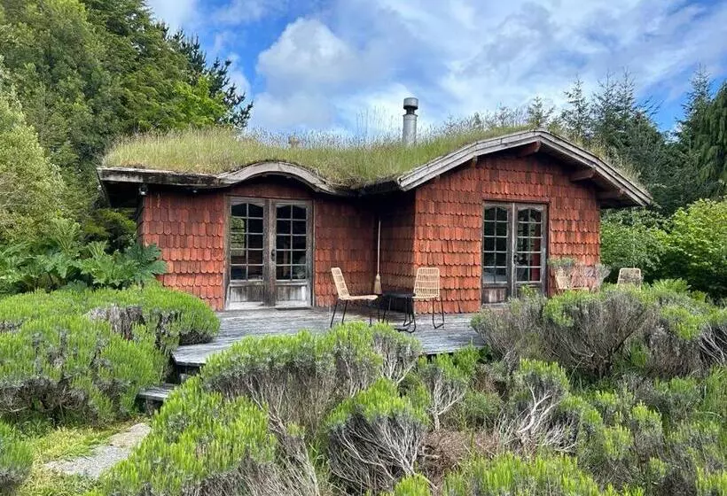 Zapato Amarillo Bed & Breakfast