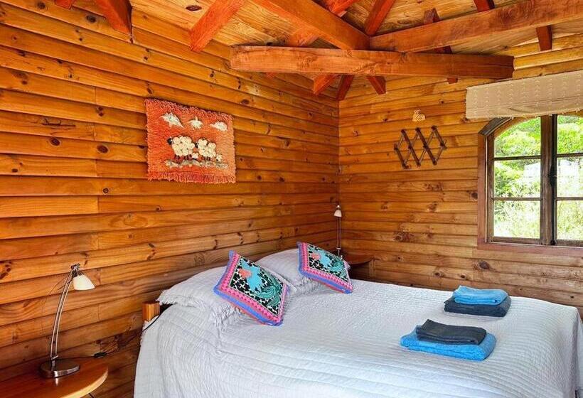 Zapato Amarillo Bed & Breakfast