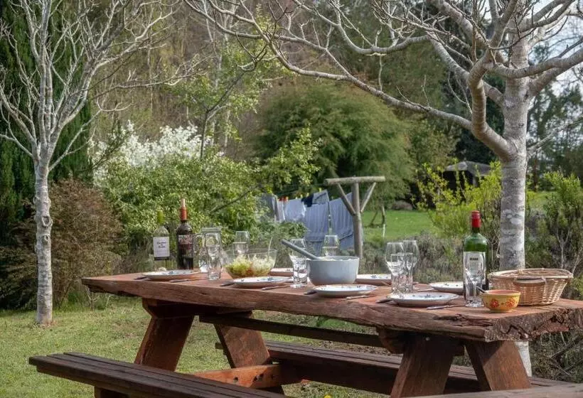 Zapato Amarillo Bed & Breakfast