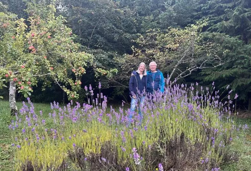 Zapato Amarillo Bed & Breakfast