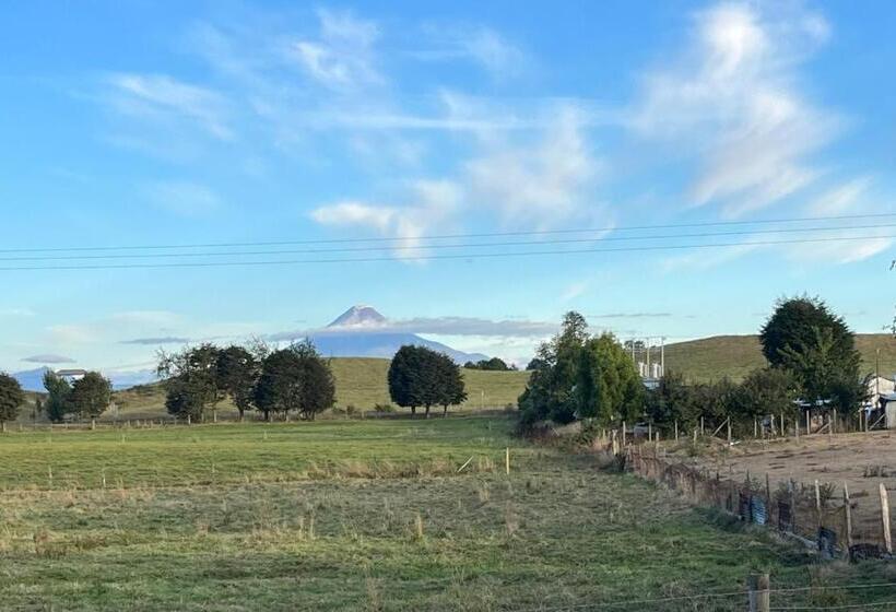 Zapato Amarillo Bed & Breakfast