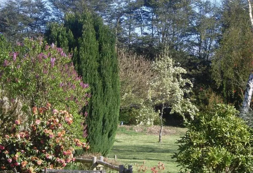 Zapato Amarillo Bed & Breakfast