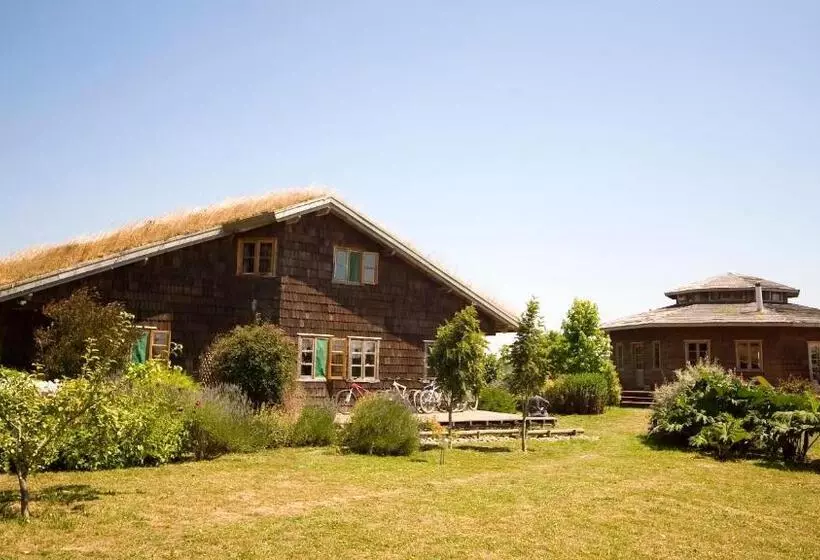 Zapato Amarillo Bed & Breakfast