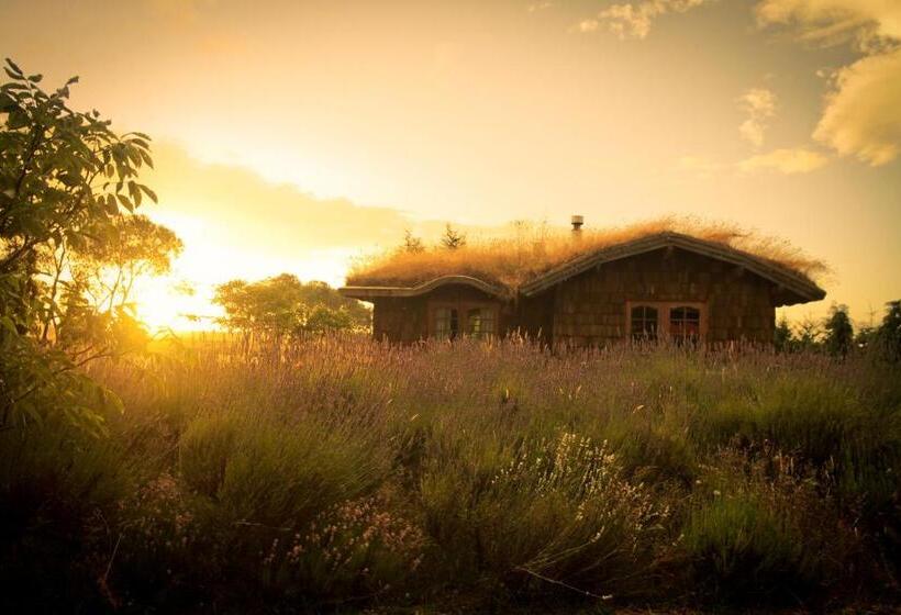 Zapato Amarillo Bed & Breakfast