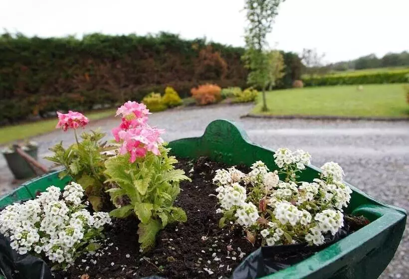 Dun Cromain Bed And Breakfast