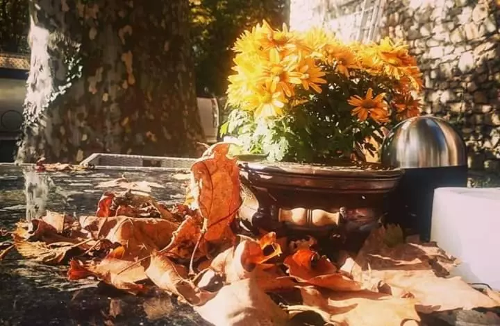 Majatalo Relais De Laval