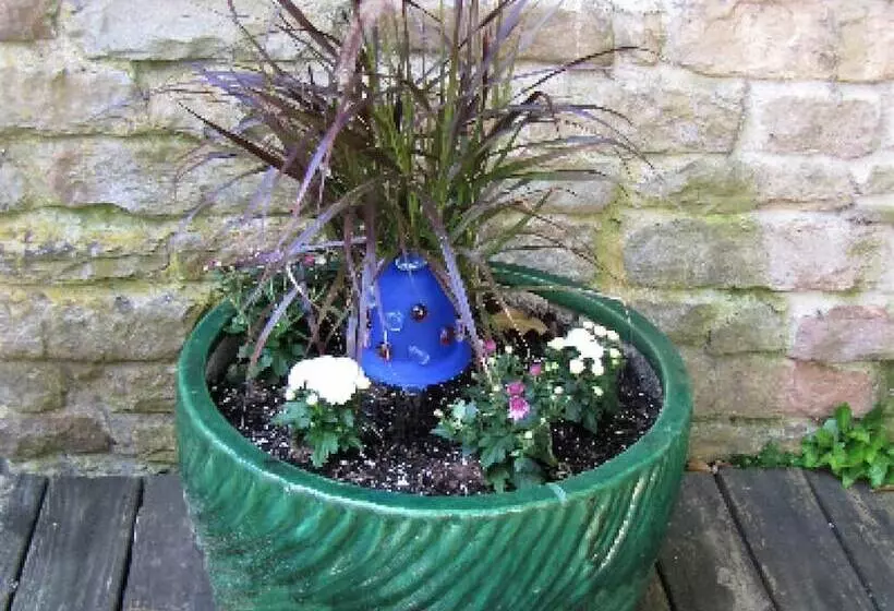 The Olde Mill Inn Bed & Breakfast