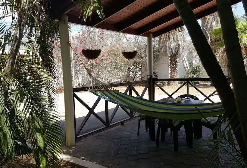 Damacor Apartments