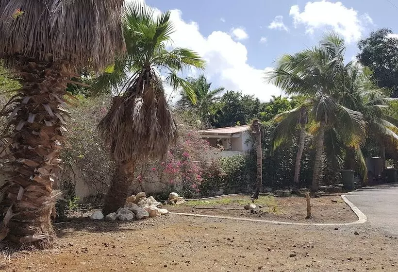 Damacor Apartments