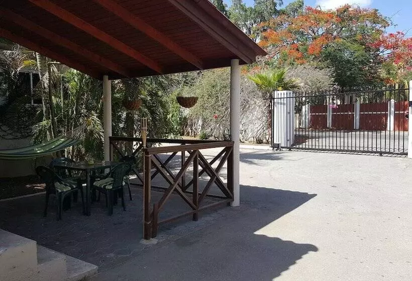 Damacor Apartments