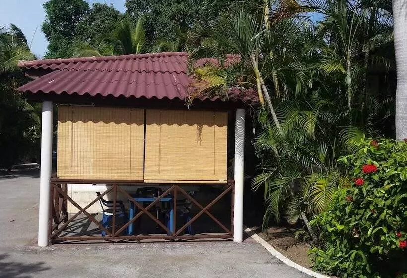 Damacor Apartments