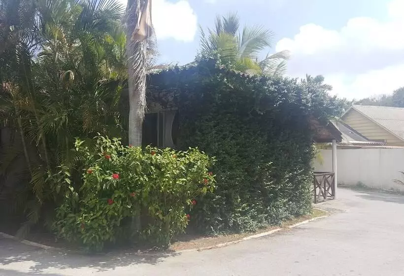 Damacor Apartments