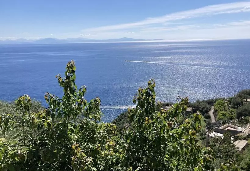 Hotelli B&b I Limoni