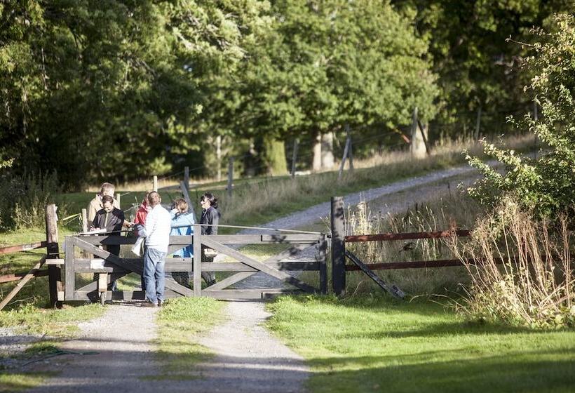 בית מלון כפרי Wallby Säteri