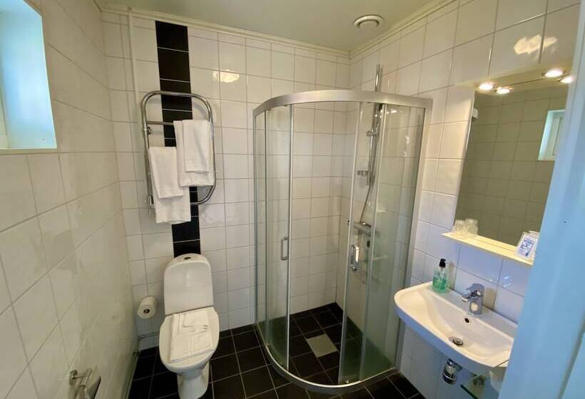 בית מלון כפרי Wallby Säteri