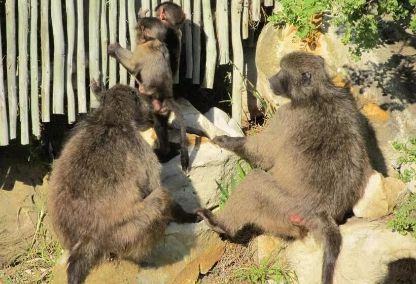 Majatalo Belle Mer Guest House