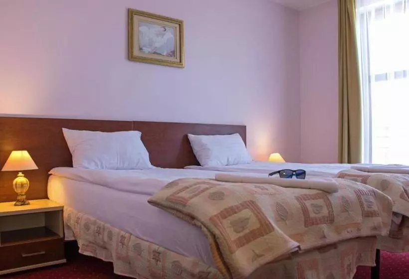 ホテル Aleksander