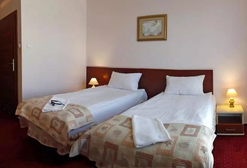 ホテル Aleksander