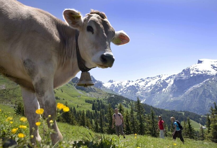 호텔 Berglodge Restaurant Ristis