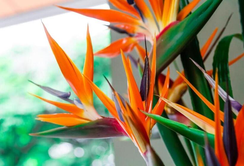 ホテル Casa Vallecaucana