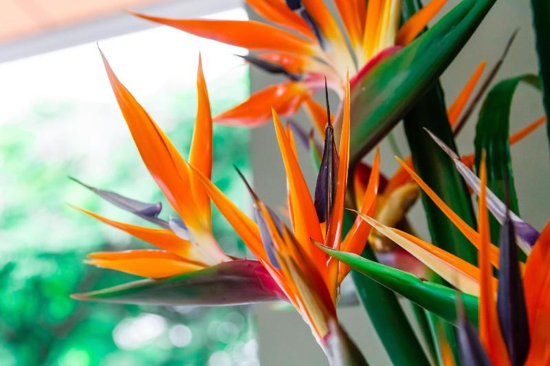 ホテル Casa Vallecaucana