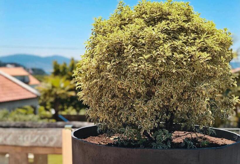 فندق Conde Navío