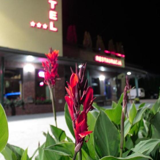 בית מלון כפרי Wojto