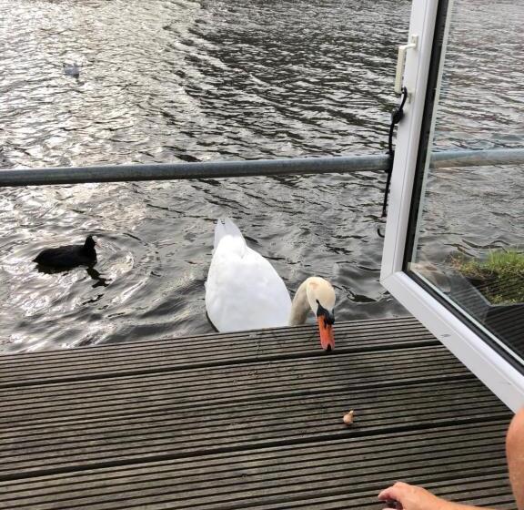 민박 Luxury Studio On Robs Houseboat Special For Couples